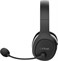 Trust GXT391 Thian W/L Headset Eco