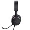 Trust GXT490 Fayzo 7.1 USB headset