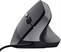 Trust Bayo II Ergonomic Mouse Black