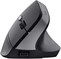 Trust Bayo II Ergonomic Wireless Mouse Black