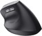 Trust Bayo II Ergonomic Wireless Mouse Black