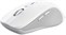 Trust Ferro Hyperwheel Wrls Mouse White
