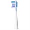 Usmile Advanced Whitening Brush Head