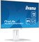 iiyama ProLite XUB2492HSU-W6