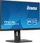 iiyama ProLite XUB2491H-B1