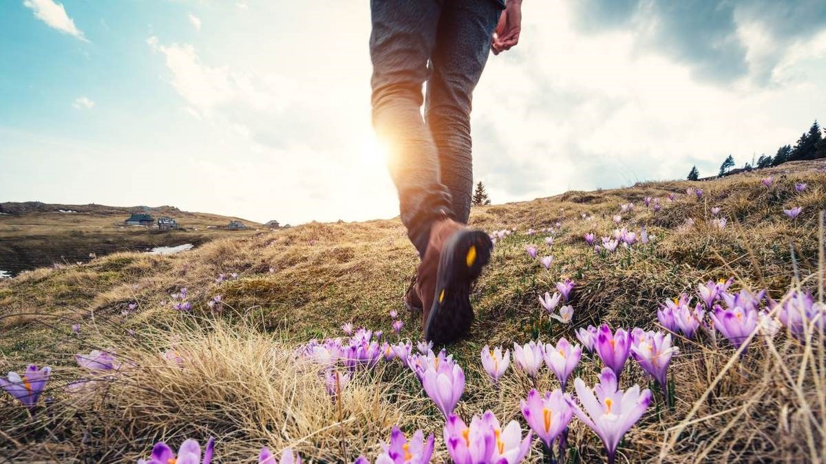 procházka po horách