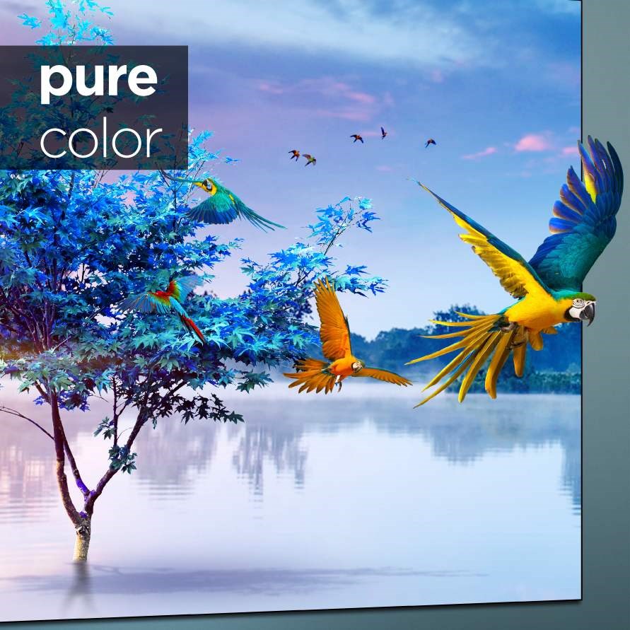 Hisense 100L5F True Color