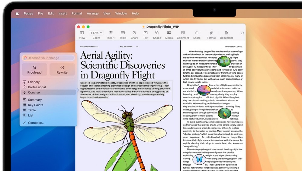 Apple MacBook Air Touch ID