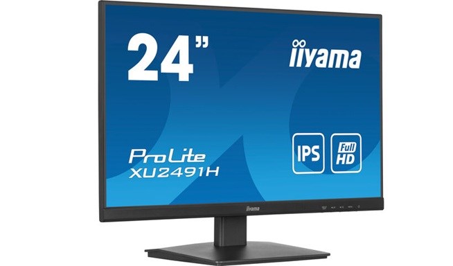 iiyama ProLite XU2491H-B1