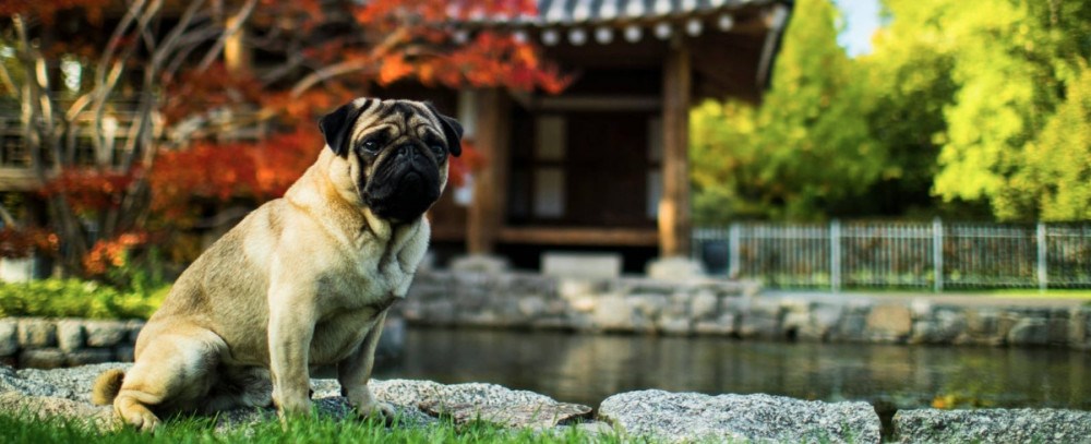 Kodak Pixpro C1 funkce