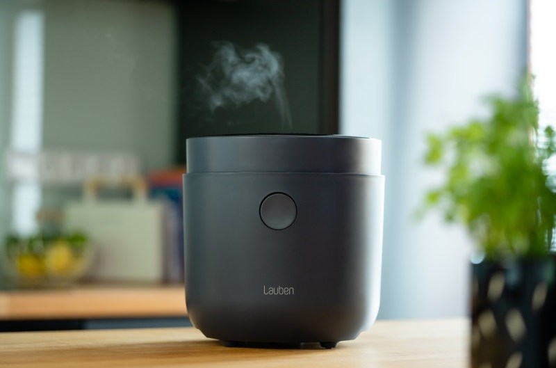 Lauben Low Sugar Rice Cooker