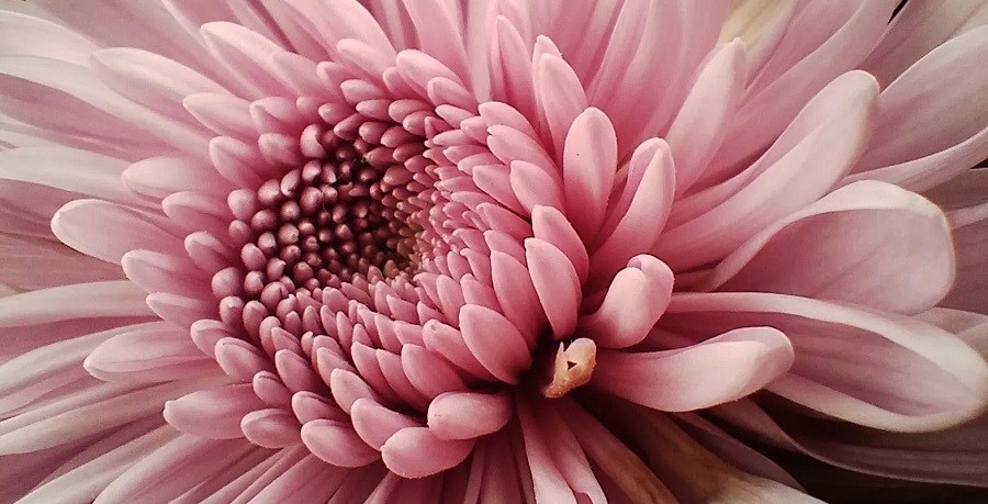 Motorola Moto G32 foto