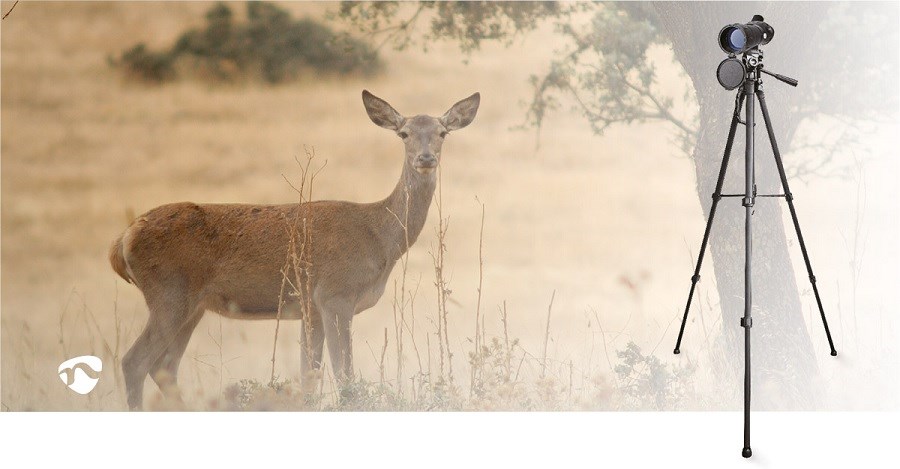 Dalekohled Nedis SCSP2000BK