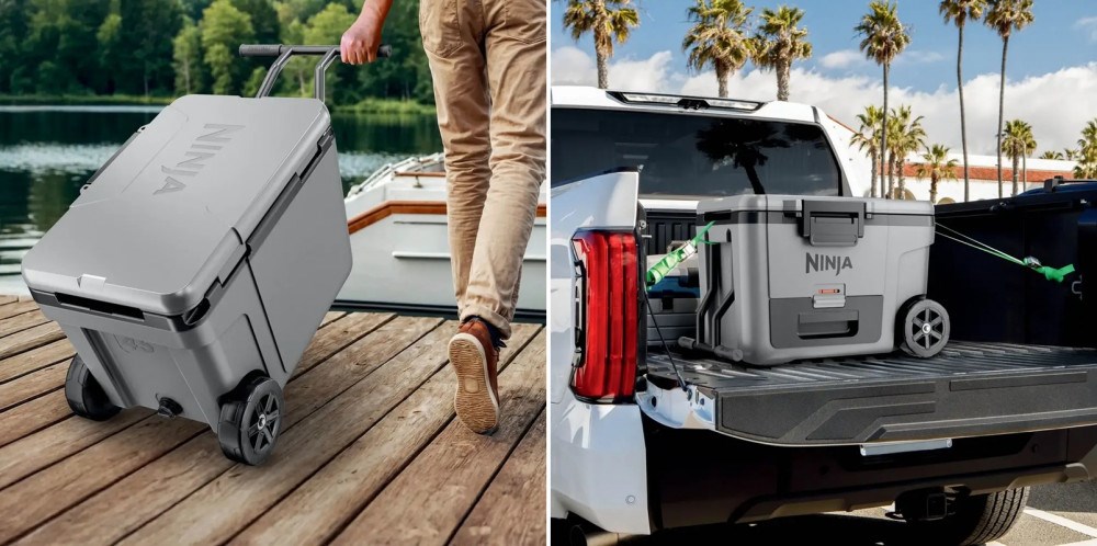 Ninja FB245EUGY Frost Vault Wheeled 42l design