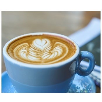 Gaggia Classic Plus Grey Vyjímatelný zásobník na vodu