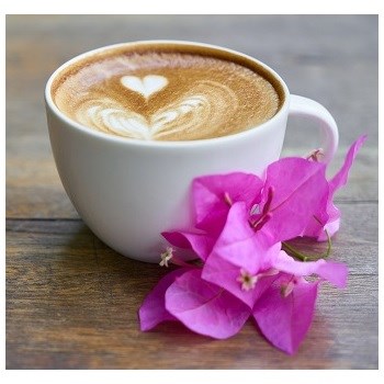 Gaggia New Classic Plus Evo Parní tryska