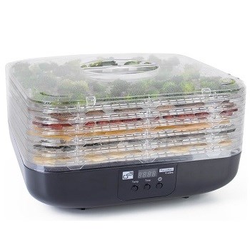 G21 Paradiso Cube black Průhledné víko