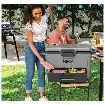 Ninja FB151EUGY Frost Vault 47l Uzamykatelné víko