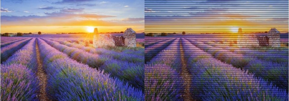 Asus ZenScreen MB14AC