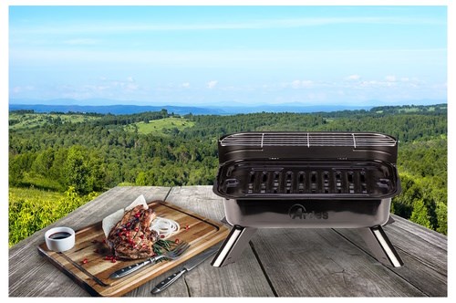 Ardes BBQ 01 2000 W
