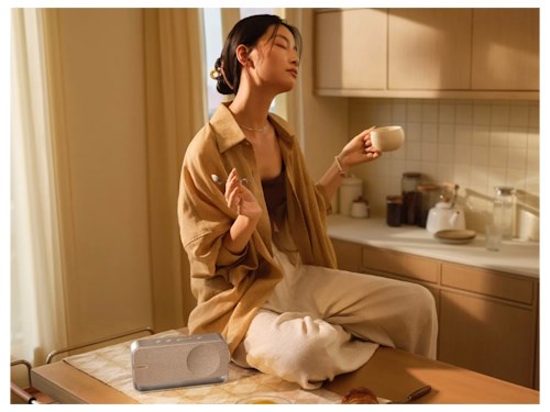 BOSE Soundlink HOME až 9 hodin přehrávání