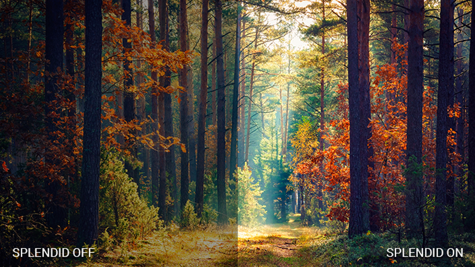 Asus BE24EQSB Flicker-Free