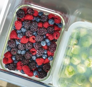 Guzzanti GZ 8812A en. třída E