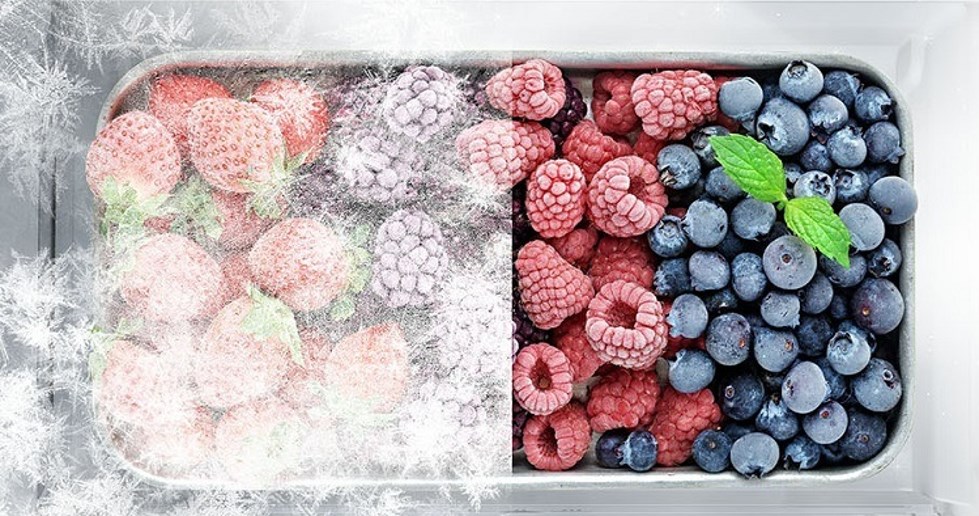 Hisense RS711N4WFD funkce Holiday