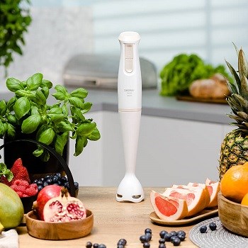 Zelmer ZHB4560I Anti-Splash