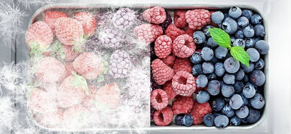 Hisense RB645N4BID Total NoFrost