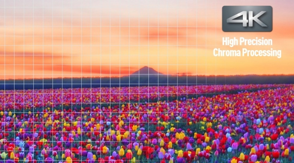 Panasonic DP-UB9000 USB