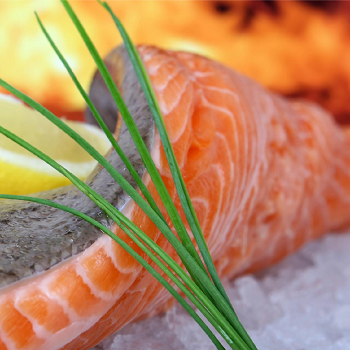 Romo RFN3204WD Total No Frost