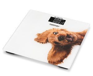 Zelmer ZBS1010 LCD displej