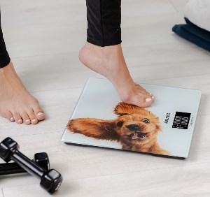 Zelmer ZBS1010 pokojový teploměr