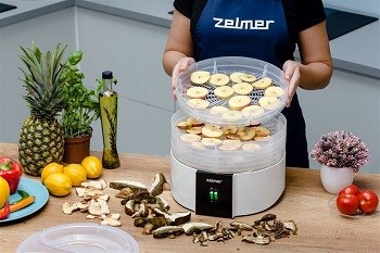 Zelmer ZFD1010 4 plata