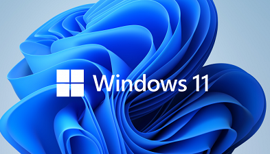 Umax VisionBook 14WQ LTE/WIn11 Windows 11 Pro