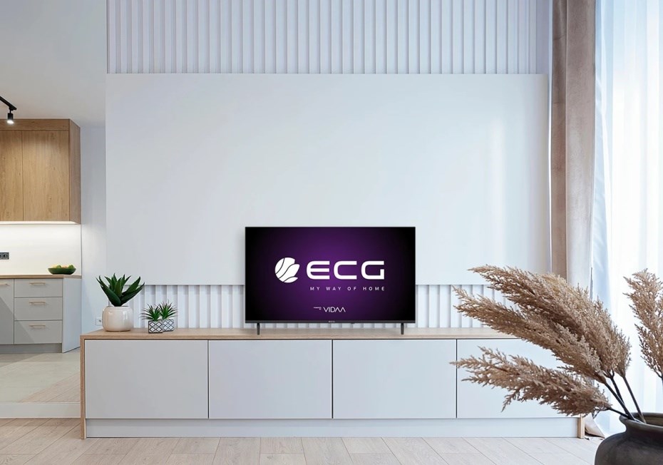 ECG 40 FSV252 hbbtv