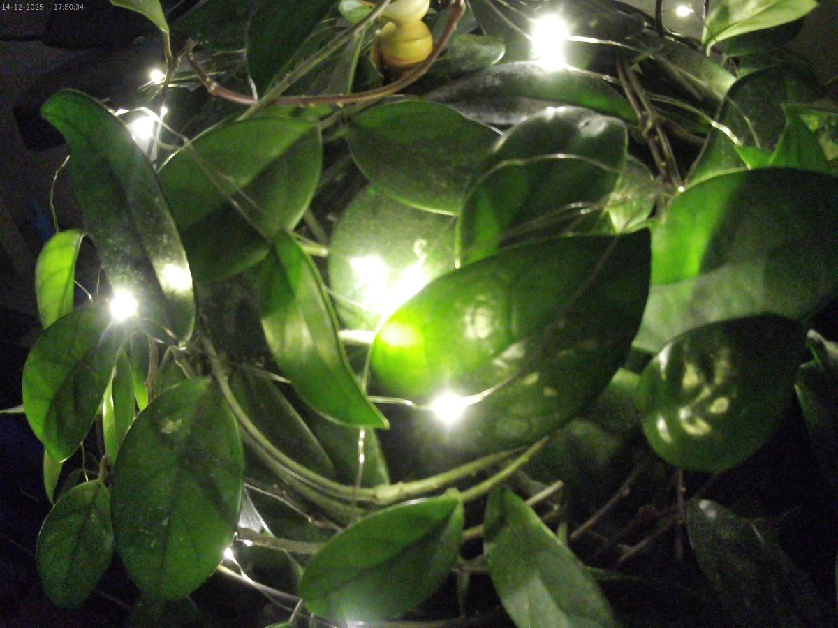 Lamax X5.2 rozlišení bílé akční kamerou