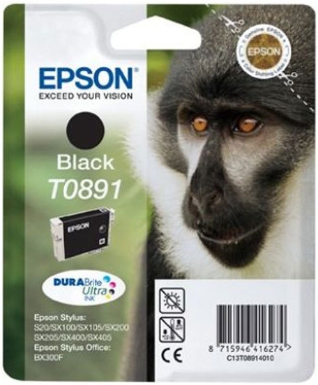 Levně Epson inkoust T0891 Black, C13t08914011