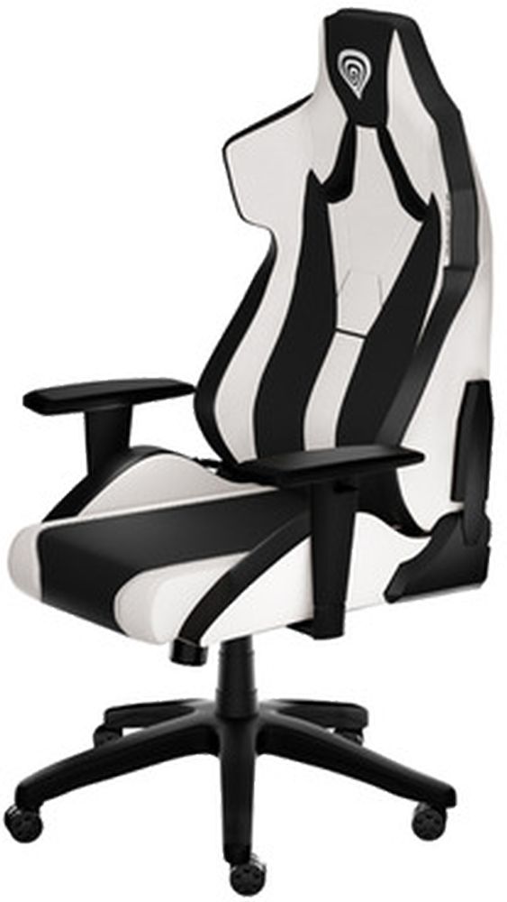 Levně Genesis herní židle herní křeslo Nitro 650