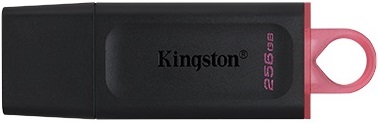 Levně Kingston Usb flash disk Usb 3.2 Dt Exodia růžová 256Gb
