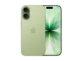 Apple iPhone 17/256GB/Sage