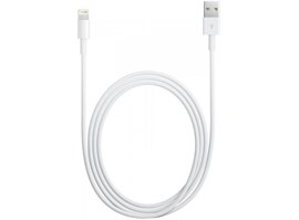 Apple Lightning to USB Cable