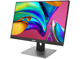 Asus ProArt PA248QV