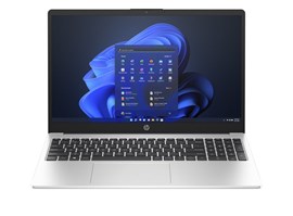 HP 255 G10 (AK9W7AT)