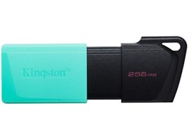 Kingston USB 3.2 DT Exodia M 256GB