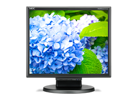NEC MultiSync E172M