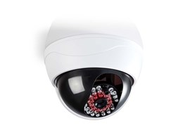 Nedis DUMCD20WT - Atrapa Bezpečnostní Kamery | Kamera s kopulovým krytem | IP44 | Bílá barva