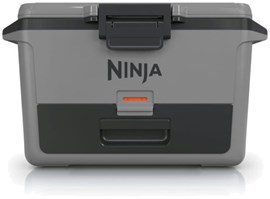 Ninja FB151EUGY Frost Vault 47l