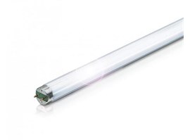 Osram L 36 W/840-1